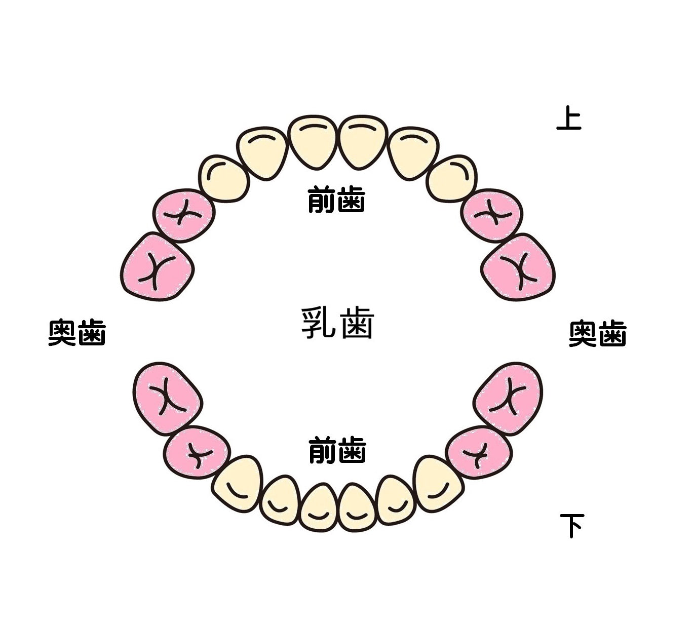 金乳歯ジュエリー(前歯・ネックレス・ペンダント)